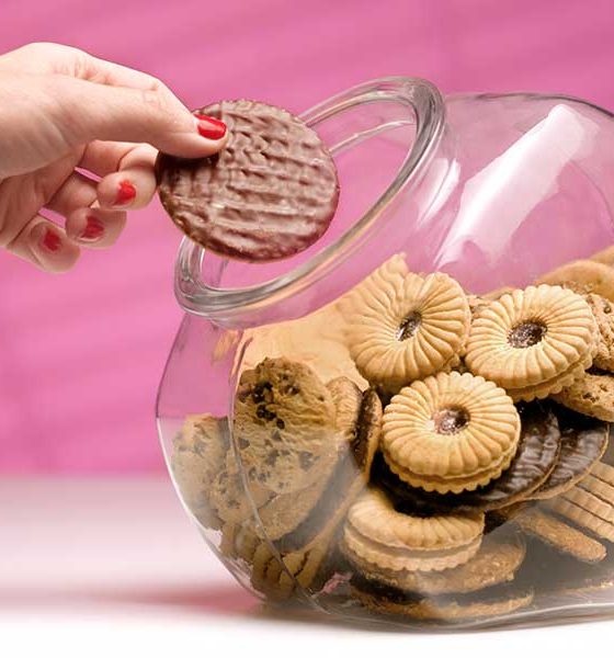 Chocolate biscuits photo