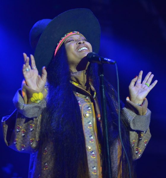 Erykah Badu - Photo: Johnny Louis/Getty Images