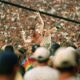 Picture of Woodstock 99, a festival of 90s music and songs