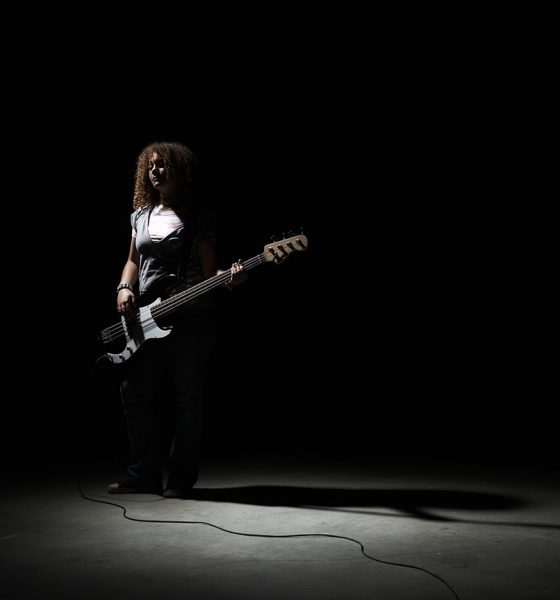 Bass Guitarist Guitar in shadows
