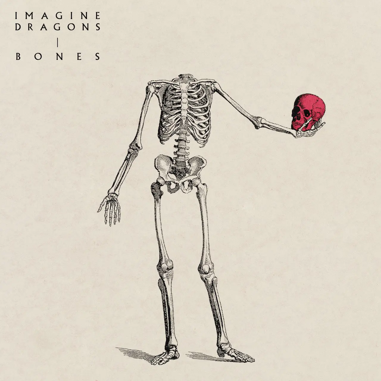 Listen To Imagine Dragons' New Single, 'Bones' Listen To Imagine Dragons' New Single, 'Bones'