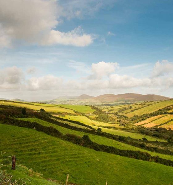 Rolling green hills in Ireland