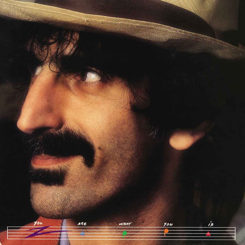 Frank Zappa You Are What You Is album cover