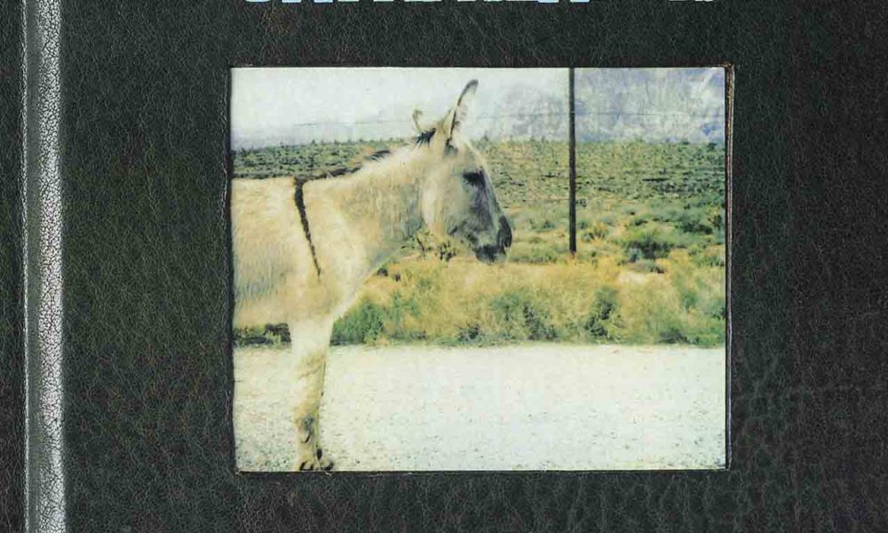 Jawbreaker Dear You album cover