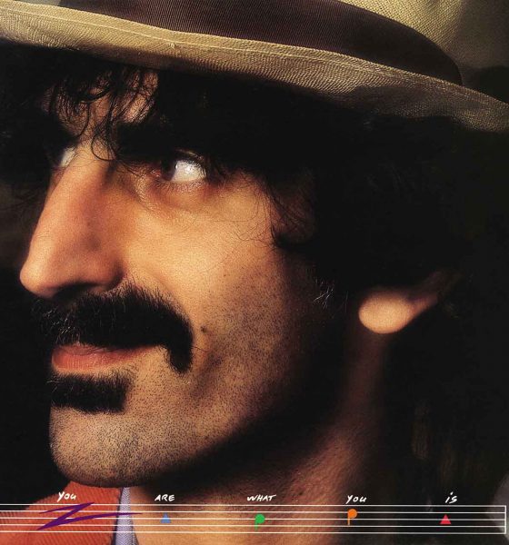 Frank Zappa You Are What You Is album cover