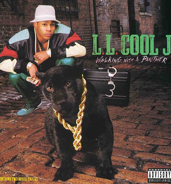 LL Cool J Walking with a Panther album cover