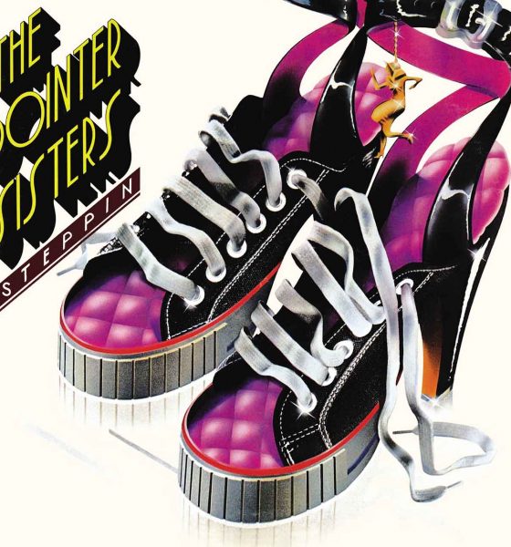 The Pointer Sisters Steppin album cover