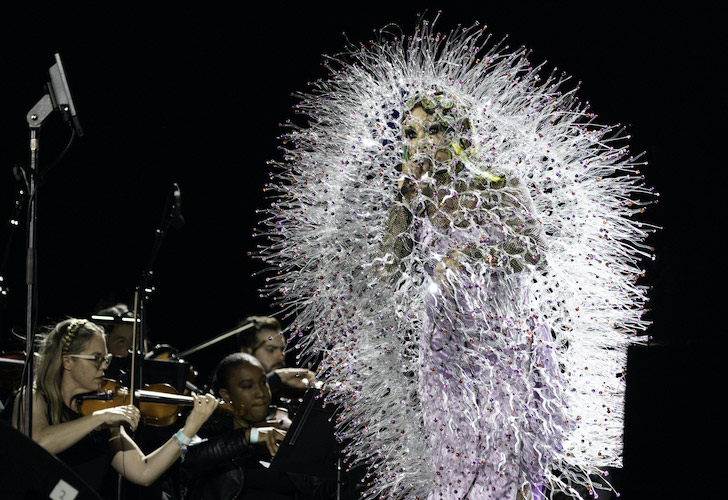 Bjork - Photo: Santiago Felipe/Getty Images for ABA