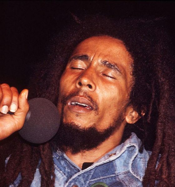 Bob-Marley-Rebel-Music