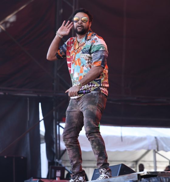 Shaggy - Photo: Dave Simpson/WireImage