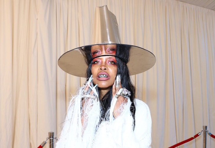Erykah Badu - Photo: Arturo Holmes/MG23/Getty Images for The Met Museum/Vogue