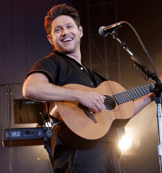Niall Horan - Photo: Taylor Hill/Getty Images for Boston Calling