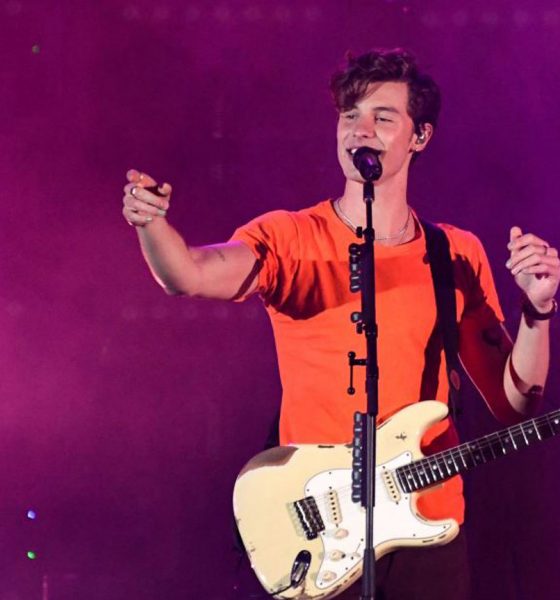 Shawn-Mendes-Hell-Are-We-Dying-For