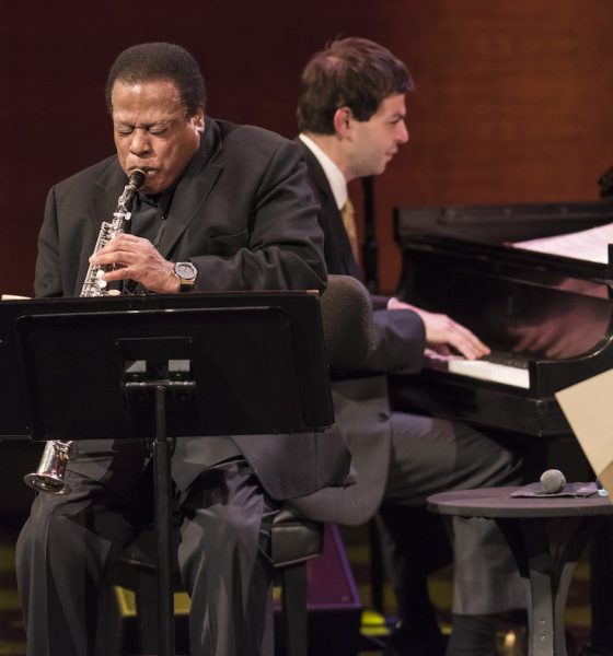 Wayne Shorter - Photo: Jack Vartoogian/Getty Images