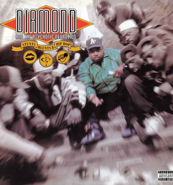 Diamond D Stunts album cover