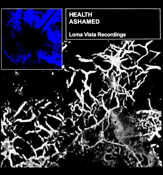 HEALTH, ‘ASHAMED’ Cover Art - Photo: Loma Vista Recordings (Courtesy of Chromatic PR)