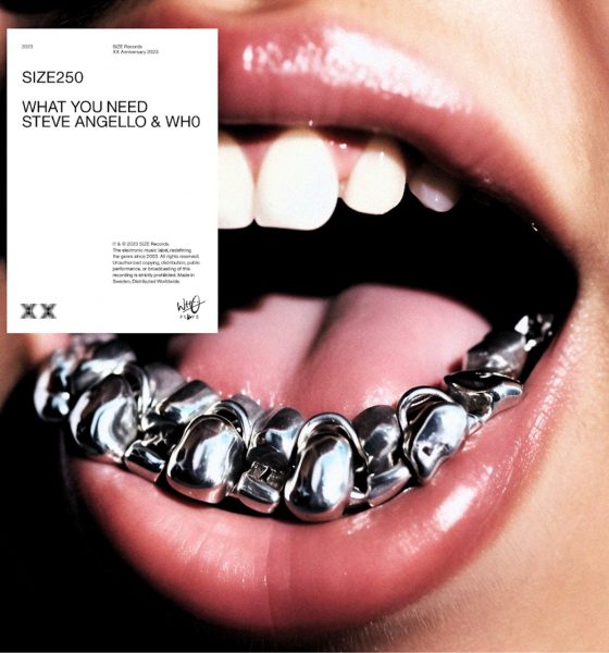 Steve Angello and WH0, ‘What You Need’ - Photo: Courtesy of SIZE Records/Wh0 Plays/Astralwerks