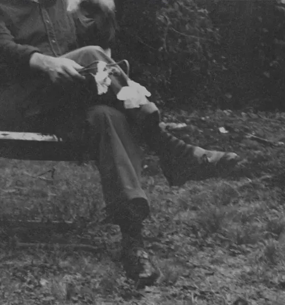 NEEDTOBREATHE The Long Surrender