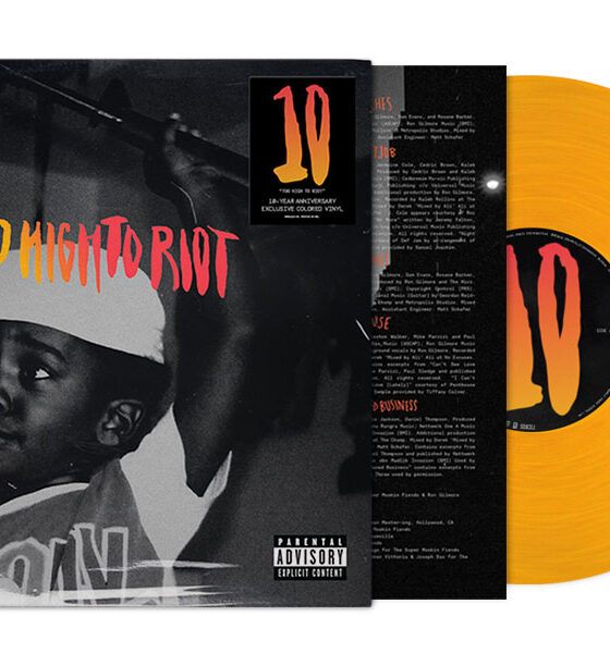Bas Too High To Riot vinyl