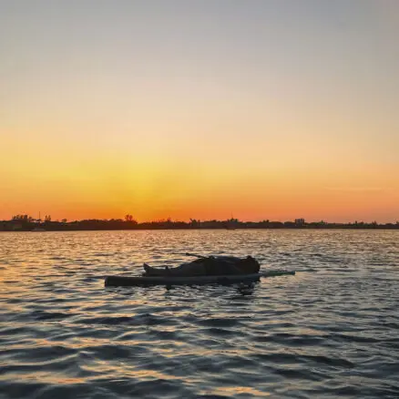 uDiscover Music image background