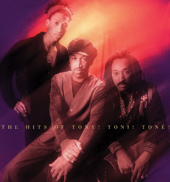 The Hits of Tony Toni Tone album cover