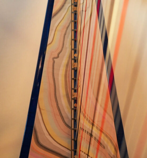 Lara Somogyi a [time] patterned cover