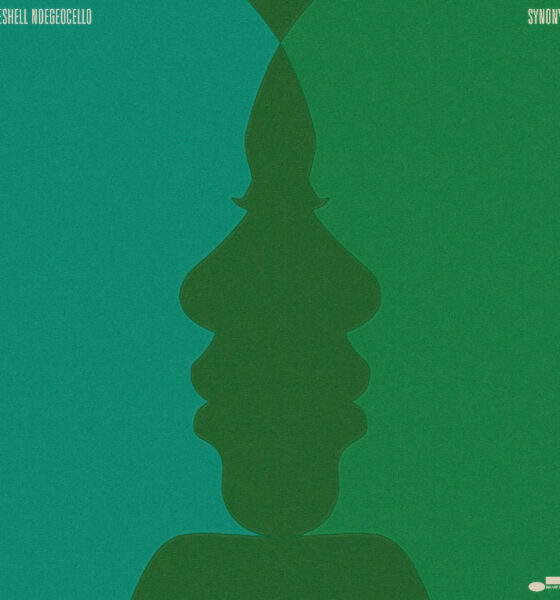 Meshell Ndegeocello Synonym
