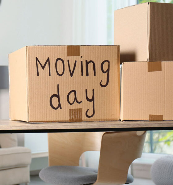 Moving Day playlist