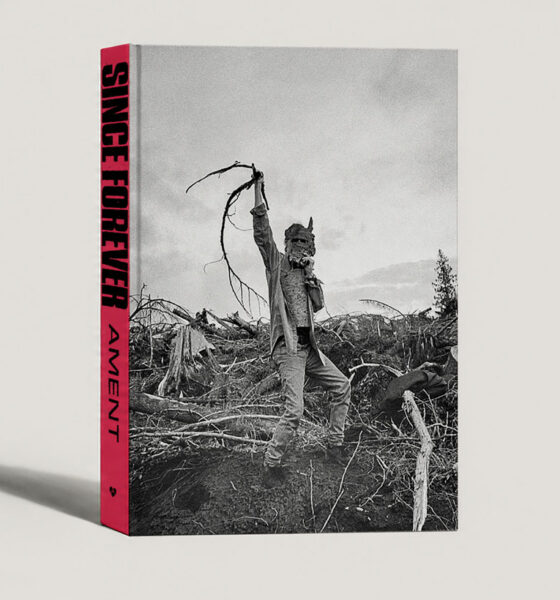 Pearl Jam Jeff Ament Since Forever book