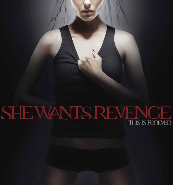 She Wants Revenge This Is Forever