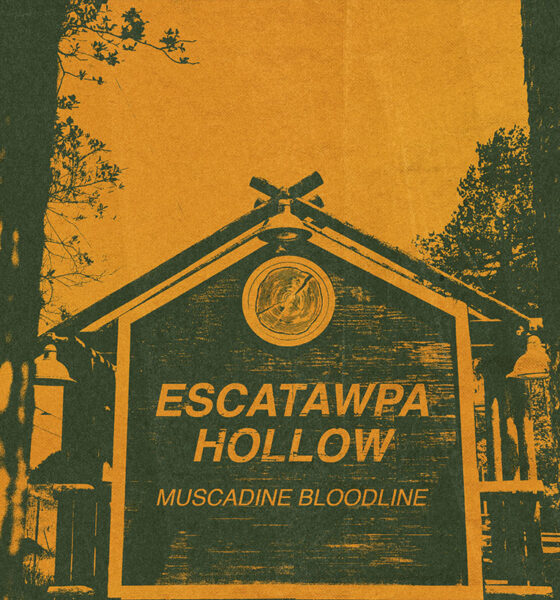 Buscadine Bloodline Escatawpa Hollow